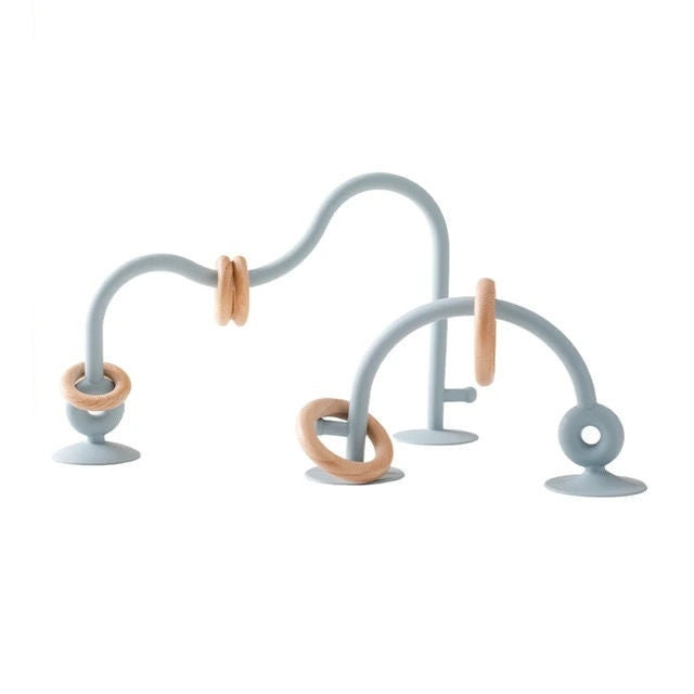 Baby Suction Teether + Toy