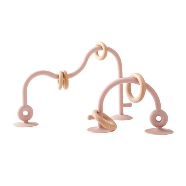 Baby Suction Teether + Toy