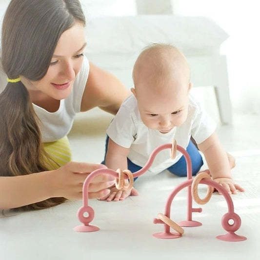 Baby Suction Teether + Toy