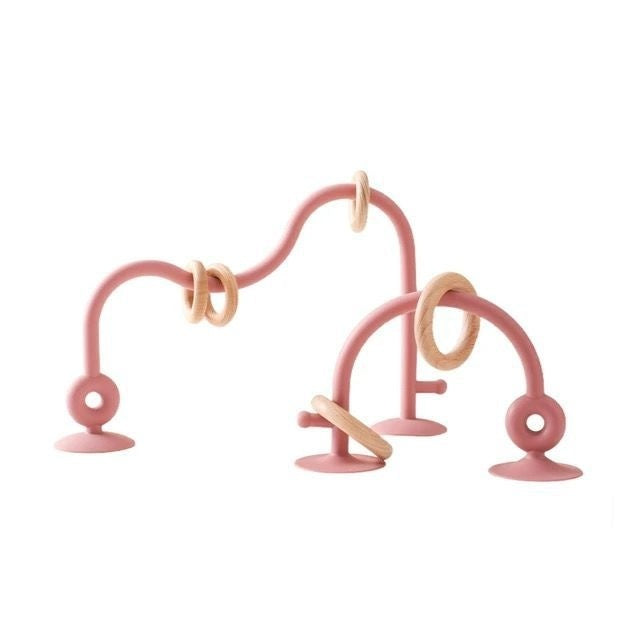 Baby Suction Teether + Toy